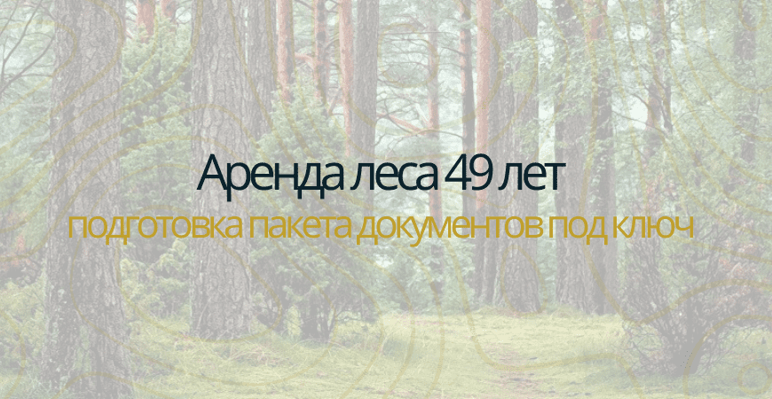 Аренда леса на 49 лет в Москве и Московской области