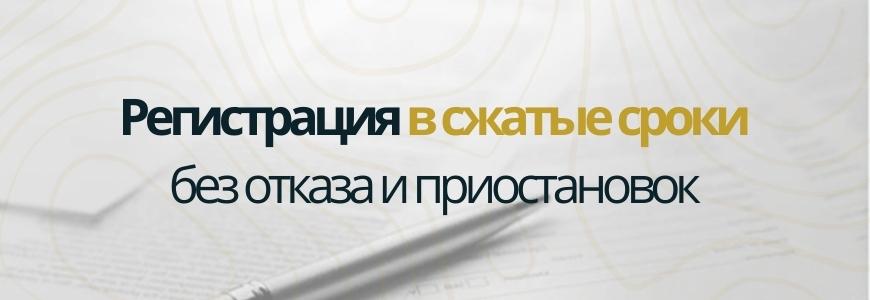 Регистрация в сжатые сроки под ключ в районе Очаково-Матвеевское