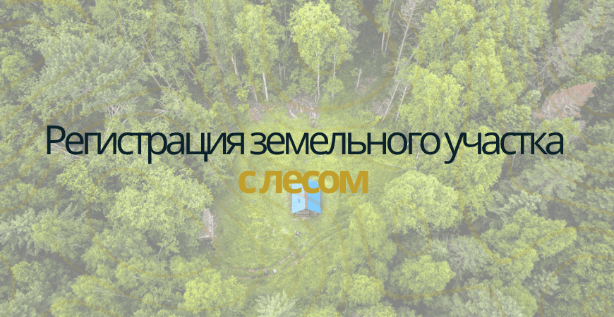 Земельный участок с лесом в Москве